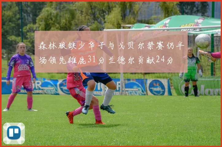 森林狼缺少华子与戈贝尔禁赛仍半场领先雄鹿31分兰德尔贡献24分